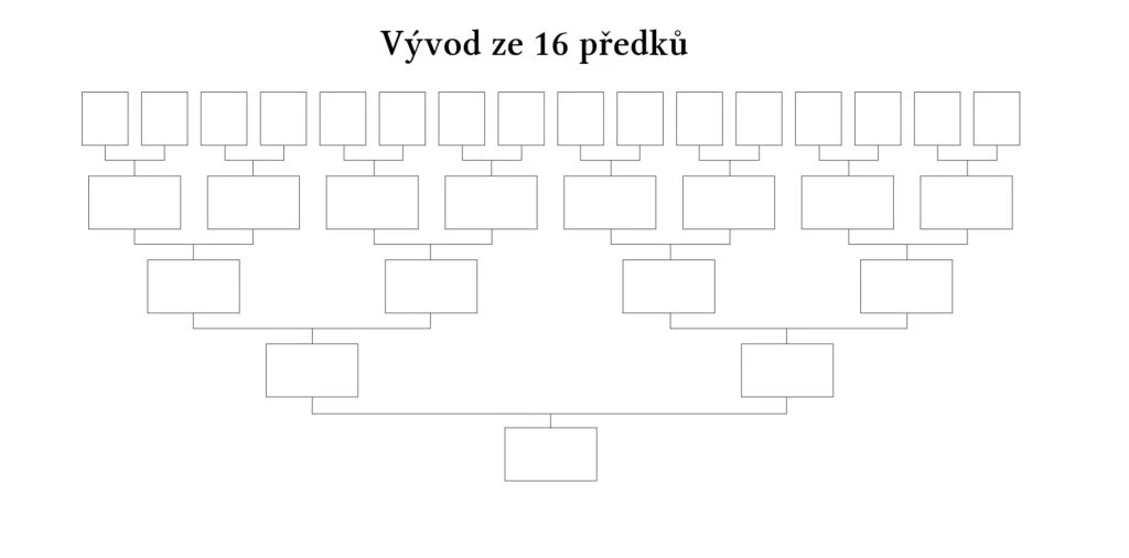 Pět generací = vývod ze 16 předků